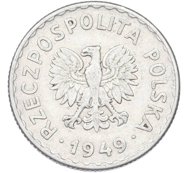 Монета 1 злотый 1949 года Польша (Артикул: K12-80218) — Фото №1