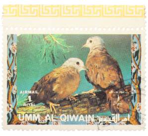 Почтовая марка 1 риал 1972 года Умм-эль-Кайвайн «Птицы — Горлицы» (Надпись авиапочты) — Фото №1