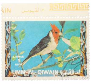 Почтовая марка 1 риал 1972 года Умм-эль-Кайвайн «Птицы — Краснохохлая кардиналовая овсянка» (Надпись авиапочты) — Фото №1