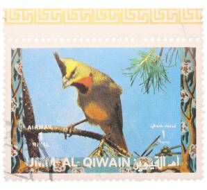Почтовая марка 1 риал 1972 года Умм-эль-Кайвайн «Птицы — Желтый кардинал» (Надпись авиапочты) — Фото №1