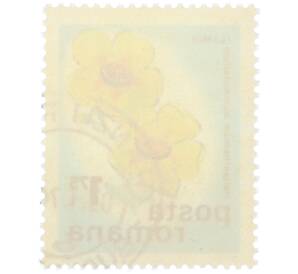 Почтовая марка 1.75 лея 1975 года Румыния »Полевые цветы - Солнцецвет монетолистный» — Фото №2