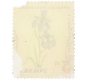 Почтовая марка 5 злотых 1967 года Польша »Охраняемая флора - Косач сибирский» — Фото №2