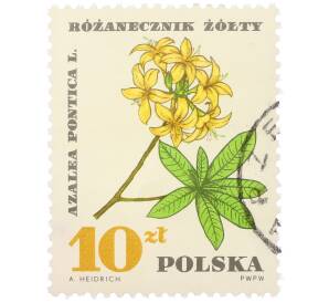 Почтовая марка 10 злотых 1967 года Польша «Лекарственные растения — Азалия понтийская» — Фото №1