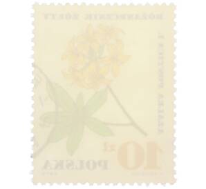 Почтовая марка 10 злотых 1967 года Польша «Лекарственные растения — Азалия понтийская» — Фото №2