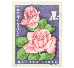Почтовая марка 1 форинт 1972 года Венгрия «XV выставка роз в Будапеште — Розы» — Фото №1