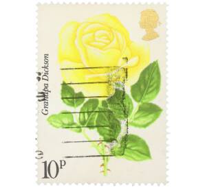 Почтовая марка 10 пенсов 1976 года Великобритания «Столетие Королевского национального общества розоводов — Сорт розы Grandpa Dickson» — Фото №1