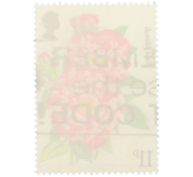 Почтовая марка 11 пенсов 1976 года Великобритания «Столетие Королевского национального общества розоводов — Роза Мунди» (Артикул: K12-80485) — Фото №2