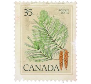 Почтовая марка 35 центов 1979 года Канада «Белая сосна восточная»  — Фото №1
