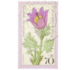 Почтовая марка 70+35 пфеннигов 1975 года Западная Германия (ФРГ) «Благотворительная серия: Альпийские цветы — Прострел луговой» — Фото №1