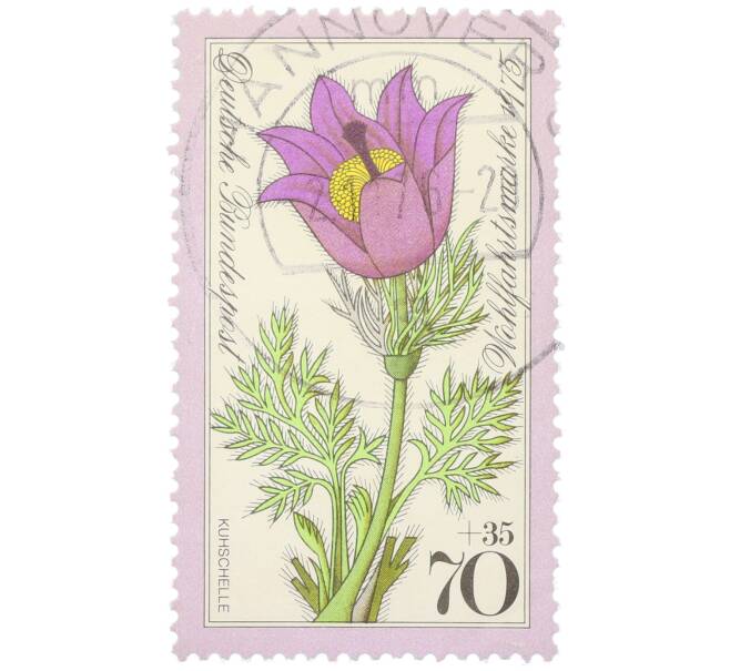 Почтовая марка 70+35 пфеннигов 1975 года Западная Германия (ФРГ) «Благотворительная серия: Альпийские цветы — Прострел луговой» (Артикул: K12-80492) — Фото №1