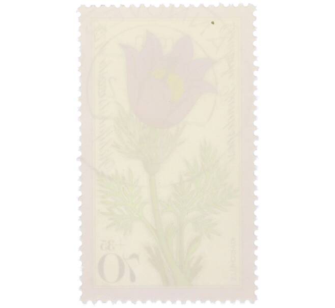 Почтовая марка 70+35 пфеннигов 1975 года Западная Германия (ФРГ) «Благотворительная серия: Альпийские цветы — Прострел луговой» (Артикул: K12-80492) — Фото №2