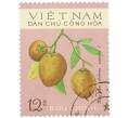 Почтовая марка 12 су 1975 года Северный Вьетнам (ДРВ) «Фрукты — Саподилла» (Артикул: K12-80653) — Фото №1
