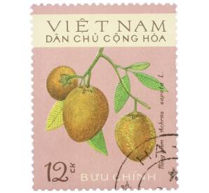 Почтовая марка 12 су 1975 года Северный Вьетнам (ДРВ) «Фрукты — Саподилла» — Фото №1