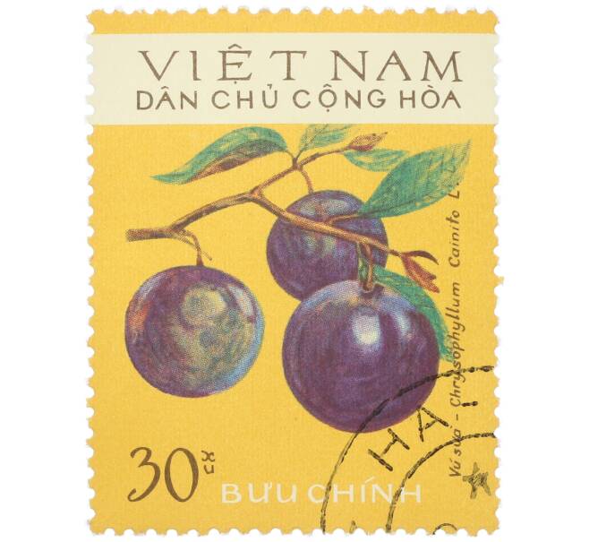 Почтовая марка 30 су 1975 года Северный Вьетнам (ДРВ) «Фрукты — Звездное яблоко (Chrysophyllum cainito)» (Артикул: K12-80656) — Фото №1