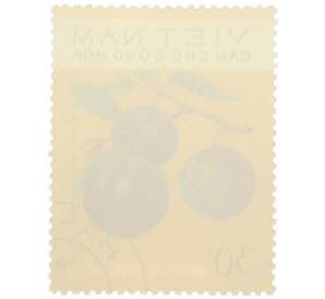 Почтовая марка 30 су 1975 года Северный Вьетнам (ДРВ) «Фрукты — Звездное яблоко (Chrysophyllum cainito)» — Фото №2