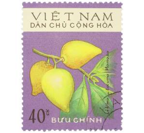 Почтовая марка 40 су 1975 года Северный Вьетнам (ДРВ) «Фрукты — Лекима (Lucuma Mammosa)» — Фото №1