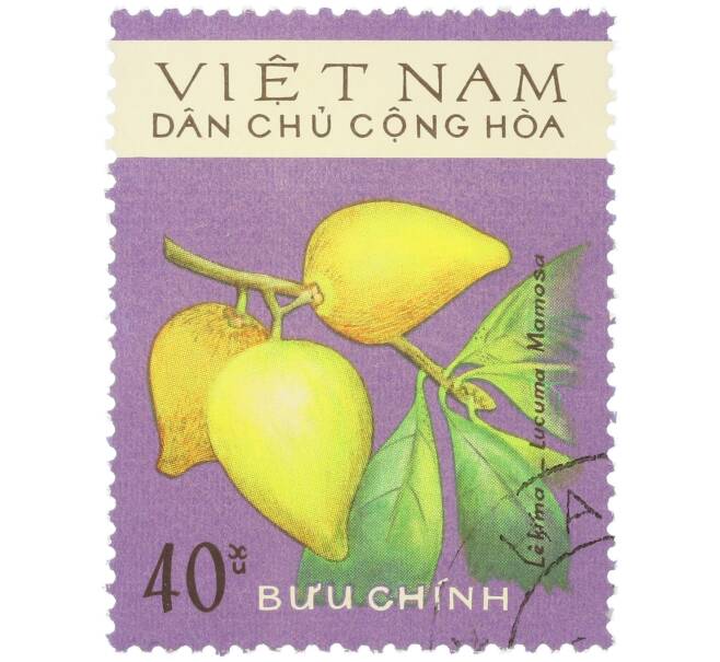Почтовая марка 40 су 1975 года Северный Вьетнам (ДРВ) «Фрукты — Лекима (Lucuma Mammosa)» (Артикул: K12-80657) — Фото №1