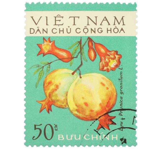 Почтовая марка 50 су 1975 года Северный Вьетнам (ДРВ) «Фрукты — Гранат (Punica granatum L.)» (Артикул: K12-80658) — Фото №1