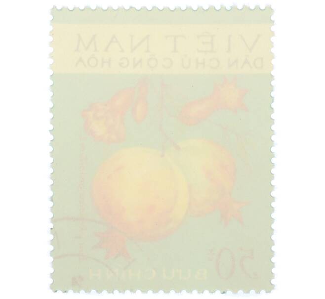 Почтовая марка 50 су 1975 года Северный Вьетнам (ДРВ) «Фрукты — Гранат (Punica granatum L.)» (Артикул: K12-80658) — Фото №2