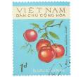 Почтовая марка 1 донг 1975 года Северный Вьетнам «Фрукты — Слива китайская (Prunus salicina Lindl.)» (Артикул: K12-80660) — Фото №1