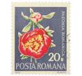 Почтовая марка 20 бани 1972 года Румыния «Редкие румынские цветы — Пион (Paeonia romanica)» (Артикул: K12-80661) — Фото №1