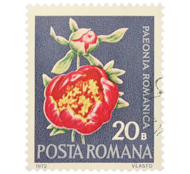 Почтовая марка 20 бани 1972 года Румыния «Редкие румынские цветы — Пион (Paeonia romanica)» (Артикул: K12-80661) — Фото №1