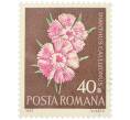 Почтовая марка 40 бани 1972 года Румыния «Редкие румынские цветы — Гвоздика мозолистая (Dianthus callizonus)» (Артикул: K12-80662) — Фото №1