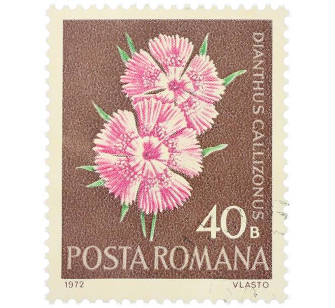 Почтовая марка 40 бани 1972 года Румыния «Редкие румынские цветы — Гвоздика мозолистая (Dianthus callizonus)» (Артикул: K12-80662) — Фото №1