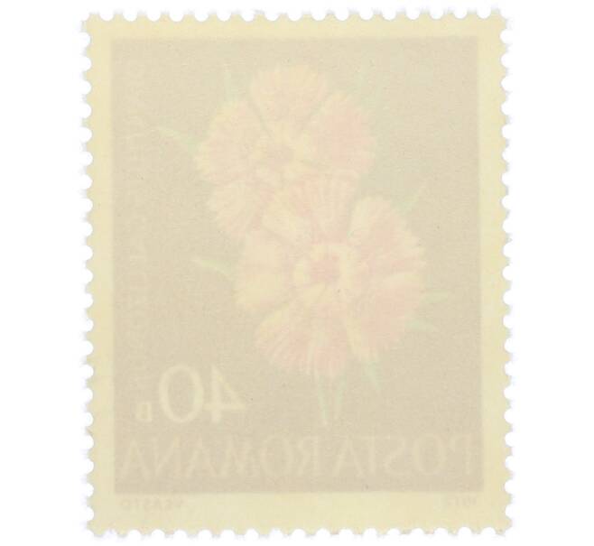 Почтовая марка 40 бани 1972 года Румыния «Редкие румынские цветы — Гвоздика мозолистая (Dianthus callizonus)» (Артикул: K12-80662) — Фото №2