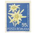 Почтовая марка 55 бани 1972 года Румыния «Редкие румынские цветы — Эдельвейс альпийский (Leontopodium alpinum)» (Артикул: K12-80663) — Фото №1