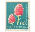 Почтовая марка 60 бани 1972 года Румыния «Редкие румынские цветы — Нигрителла красная (Nigritella rubra)» (Артикул: K12-80664) — Фото №1