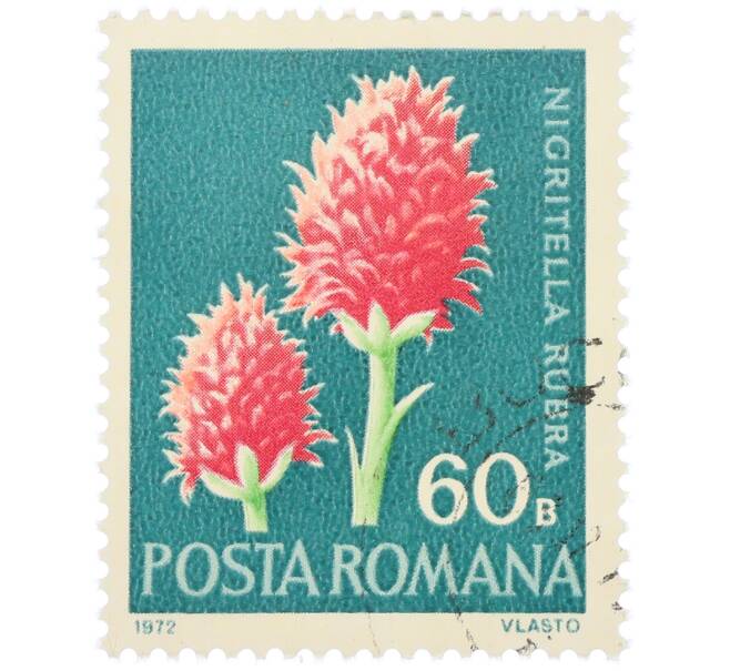 Почтовая марка 60 бани 1972 года Румыния «Редкие румынские цветы — Нигрителла красная (Nigritella rubra)» (Артикул: K12-80664) — Фото №1