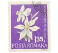 Почтовая марка 1.35 лея 1972 года Румыния «Редкие румынские цветы — Нарцисс звездчатый (Narcissus stellaris)» (Артикул: K12-80665) — Фото №1