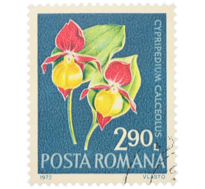 Почтовая марка 2.90 лея 1972 года Румыния «Редкие румынские цветы - Венерин башмачок настоящий (Cypripedium calceolus)» (Артикул: K12-80666) — Фото №1