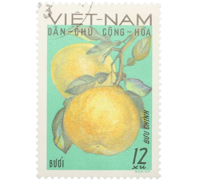 Почтовая марка 12 су 1969 года Северный Вьетнам (ДРВ) «Фрукты Северного Вьетнама — Помпельмус (Грейпфрут)» (Артикул: K12-80668) — Фото №1