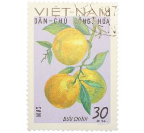 Почтовая марка 30 су 1969 года Северный Вьетнам (ДРВ) «Фрукты Северного Вьетнама — Апельсин (Citrus sinensis)» — Фото №1