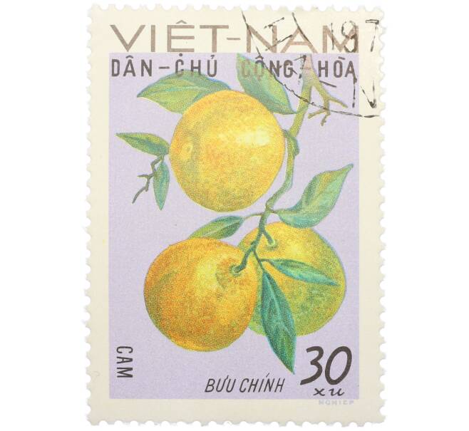 Почтовая марка 30 су 1969 года Северный Вьетнам (ДРВ) «Фрукты Северного Вьетнама — Апельсин (Citrus sinensis)» (Артикул: K12-80670) — Фото №1