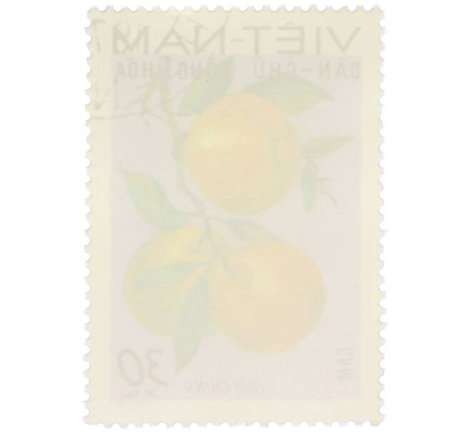 Почтовая марка 30 су 1969 года Северный Вьетнам (ДРВ) «Фрукты Северного Вьетнама — Апельсин (Citrus sinensis)» (Артикул: K12-80670) — Фото №2