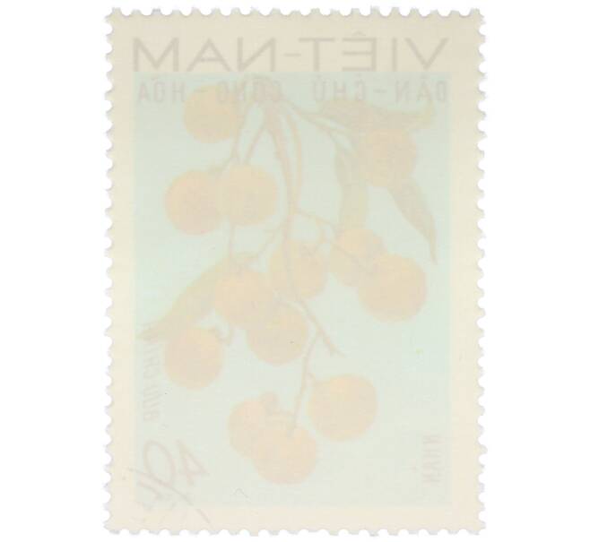 Почтовая марка 40 су 1969 года Северный Вьетнам (ДРВ) «Фрукты Северного Вьетнама — Лонган» (Артикул: K12-80671) — Фото №2