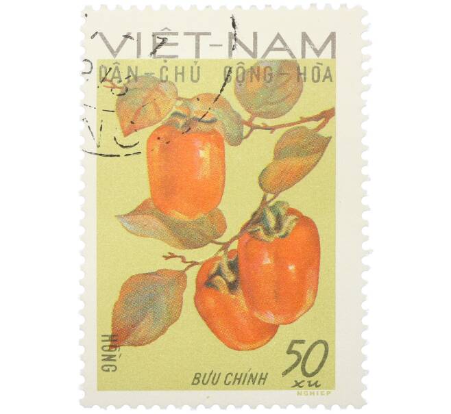 Почтовая марка 50 су 1969 года Северный Вьетнам (ДРВ) «Фрукты Северного Вьетнама — Хурма (Diospyros kaki)» (Артикул: K12-80672) — Фото №1