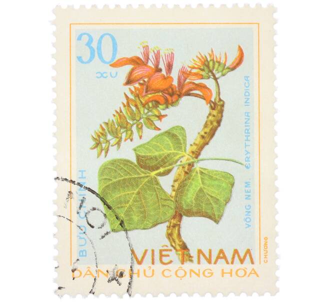 Почтовая марка 30 су 1975 года Северный Вьетнам (ДРВ) «Лекарственные растения — Эритрина индийская (Erythrina indica)» (Артикул: K12-80679) — Фото №1