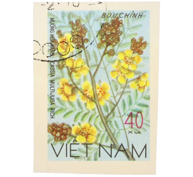 Почтовая марка 40 су 1977 года Северный Вьетнам (ДРВ) «Дикорастущие цветы — Кассия многоярусная (Cassia multijuga Rich)» (Без перфорации) (Артикул: K12-80681) — Фото №1
