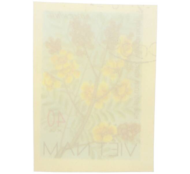 Почтовая марка 40 су 1977 года Северный Вьетнам (ДРВ) «Дикорастущие цветы — Кассия многоярусная (Cassia multijuga Rich)» (Без перфорации) (Артикул: K12-80681) — Фото №2