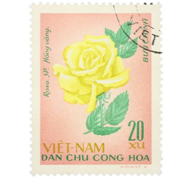Почтовая марка 20 су 1967 года Северный Вьетнам (ДРВ) «Цветы - Роза гибридная» (Артикул: K12-80684) — Фото №1
