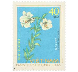 Почтовая марка 40 су 1975 года Северный Вьетнам (ДРВ) «Лекарственные растения — Лилия Брауна (Lilium brownii)» — Фото №1