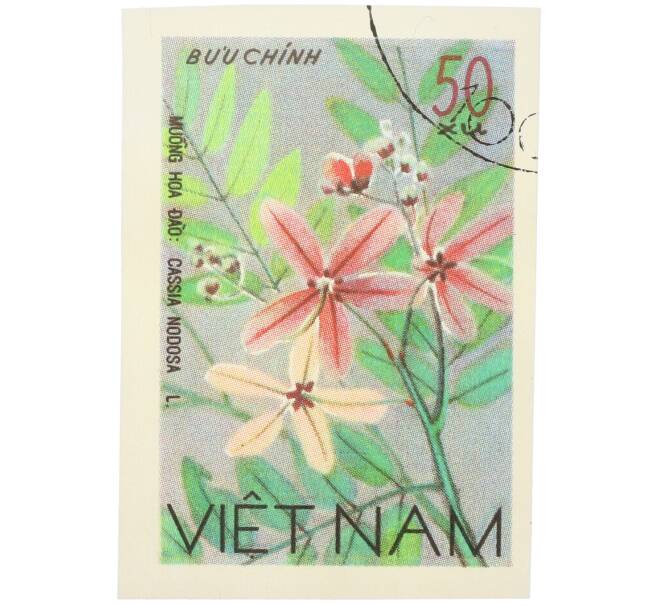 Почтовая марка 50 су 1977 года Вьетнам «Флора — Cassia nodosa (Кассия яванская)» (Артикул: K12-80687) — Фото №1