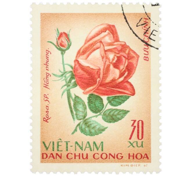 Почтовая марка 30 су 1967 года Северный Вьетнам (ДРВ) «Розы — Rosa Sp» (Артикул: K12-80692) — Фото №1