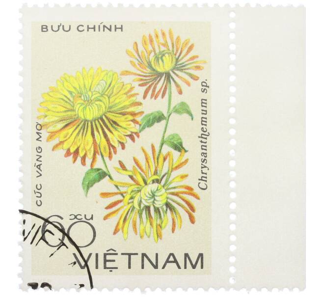Почтовая марка 60 су 1978 года Вьетнам «Хризантемы — Chrysanthemum sp» (Артикул: K12-80694) — Фото №1