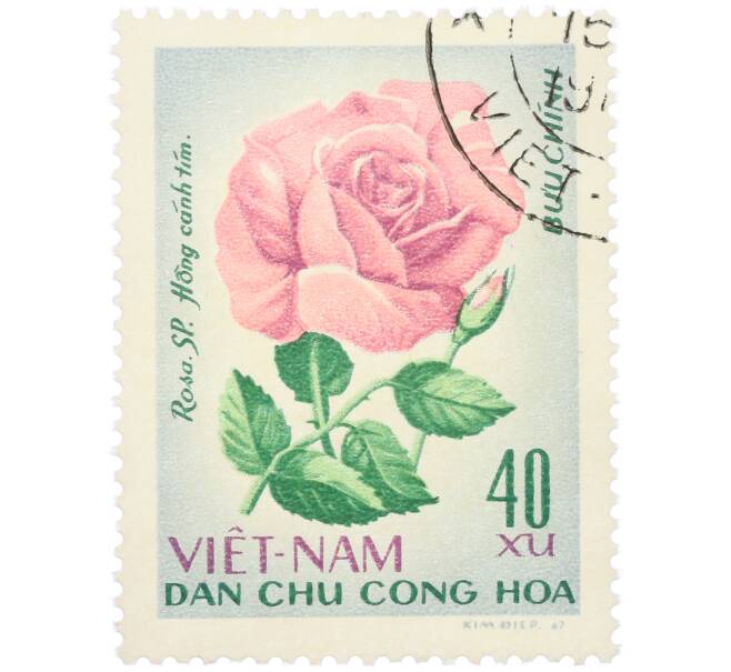 Почтовая марка 40 су 1967 года Северный Вьетнам (ДРВ) «Розы — Rosa Sp» (Артикул: K12-80696) — Фото №1