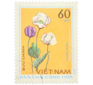 Почтовая марка 60 су 1975 года Северный Вьетнам (ДРВ) «Лекарственные растения — Papaver somniferum» — Фото №1